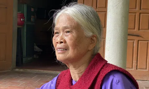 Níu "sợi dây" của đất trời: Người đảng viên già và lời nguyện giữ rừng (Kỳ 2)